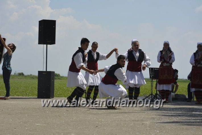 alexandriamou.gr_trikala28.5.2018086